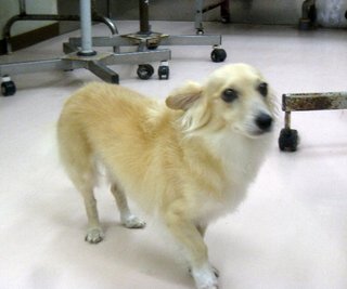 01.jpg