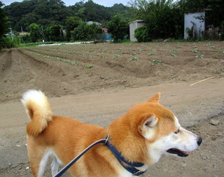 すみ1.jpg