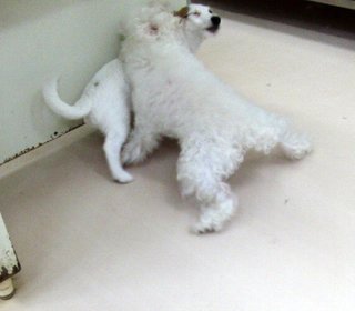 ブルー4.jpg