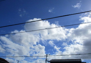 台風1.jpg