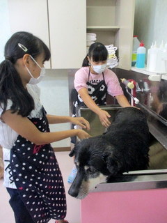 職場2.jpg